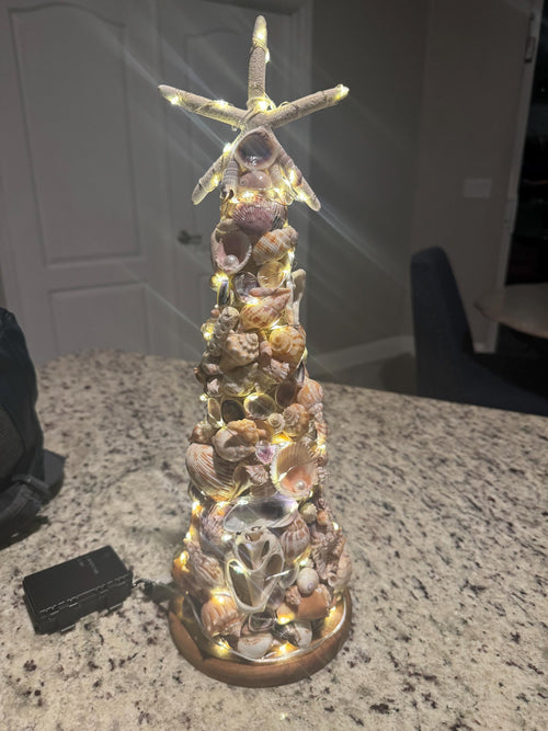 17.5" Coastal Seashell Tree with hand-Gathered Seashells Beach Decor from SWFL Beaches