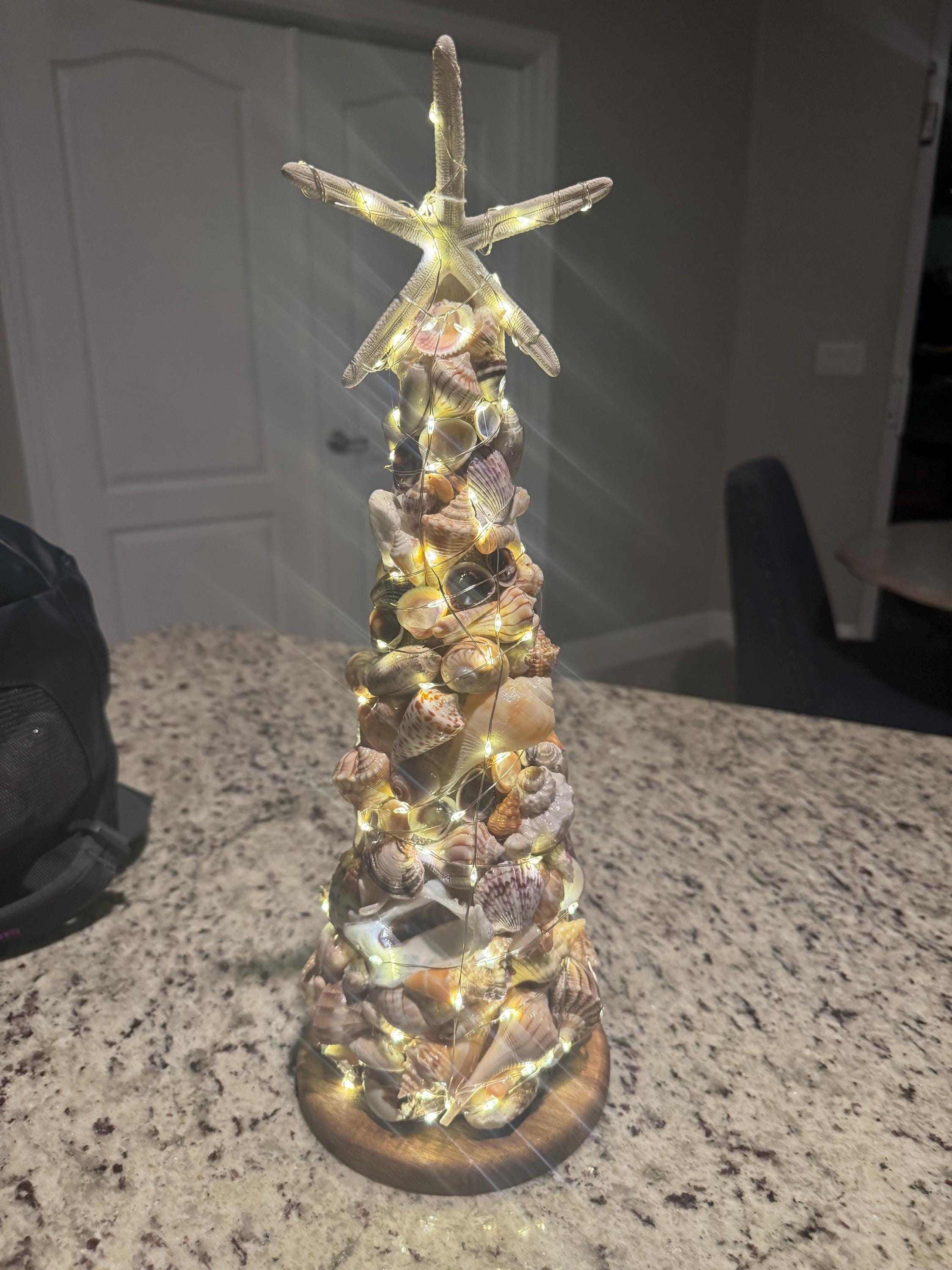 17.5" Coastal Seashell Tree with hand-Gathered Seashells Beach Decor from SWFL Beaches
