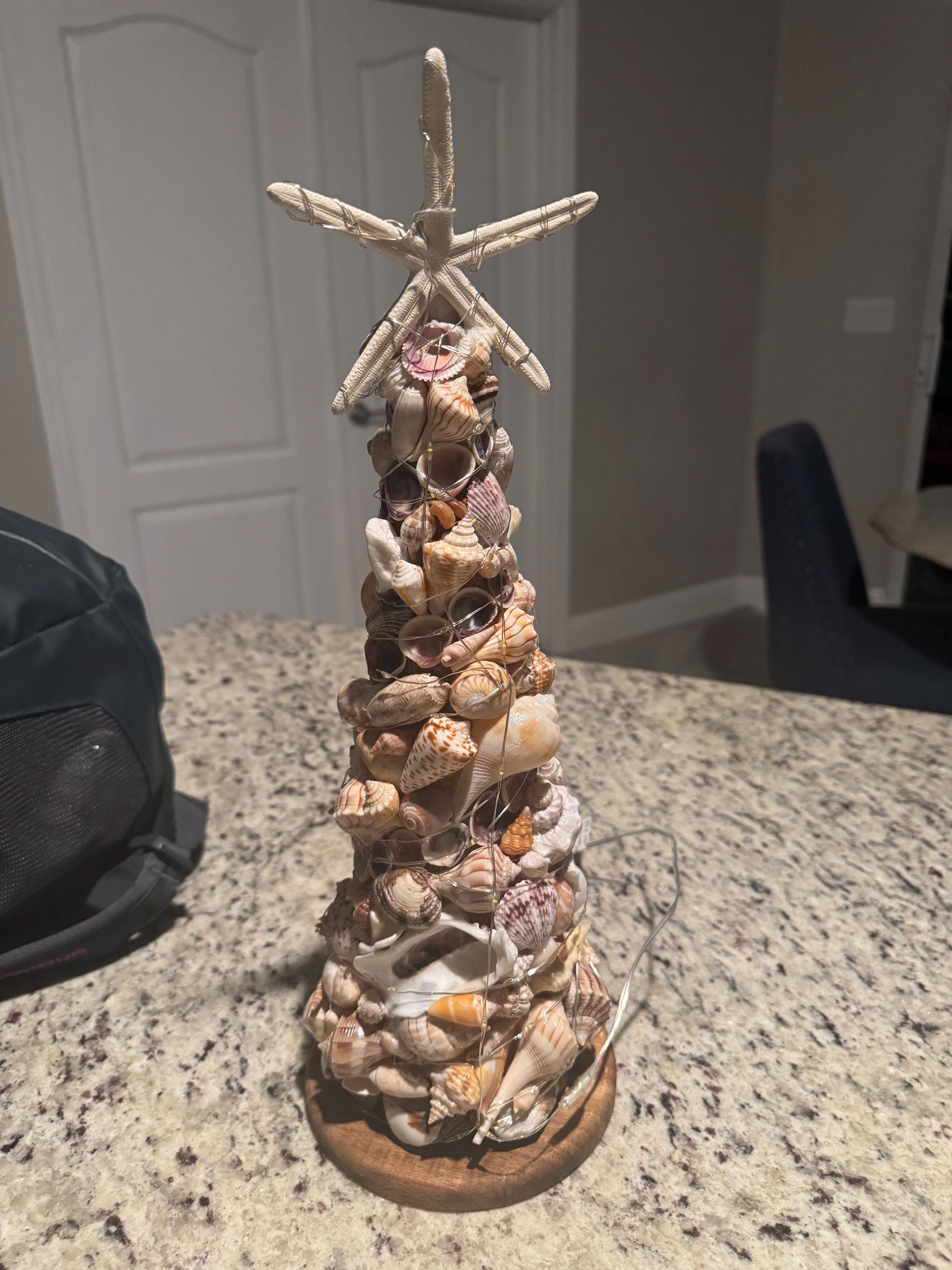 17.5" Coastal Seashell Tree with hand-Gathered Seashells Beach Decor from SWFL Beaches